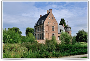 Chateau des Comtes